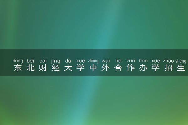 东北财经大学中外合作办学招生简章及专业计划（2025参考）