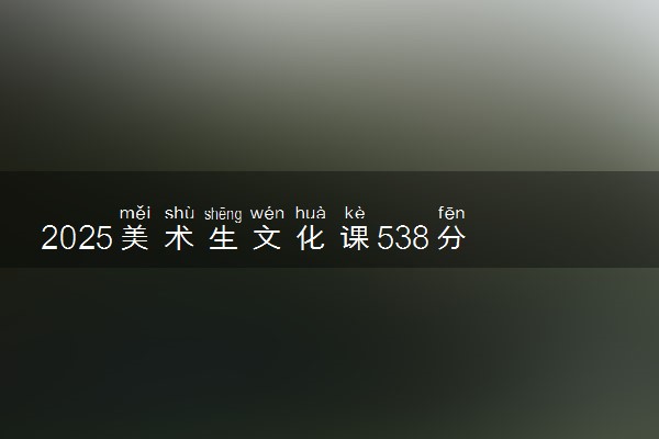 2025美术生文化课538分能上浙江师范大学吗