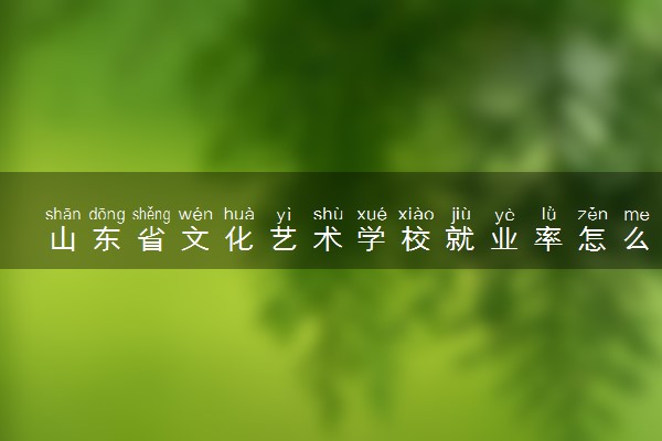 山东省文化艺术学校就业率怎么样