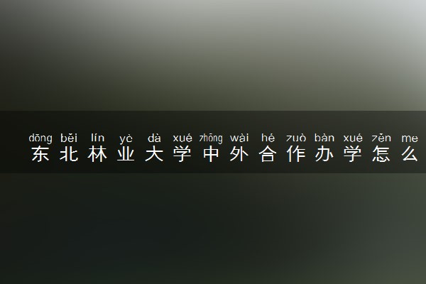 东北林业大学中外合作办学怎么样 好不好