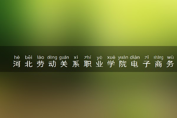 河北劳动关系职业学院电子商务（校企合作共建）专业怎么样 录取分数线多少