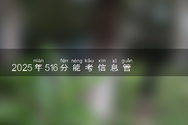 2025年516分能考信息管理与信息系统专业吗 516分信息管理与信息系统专业大学推荐