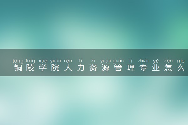 铜陵学院人力资源管理专业怎么样 录取分数线多少