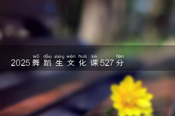 2025舞蹈生文化课527分能上云南大学吗