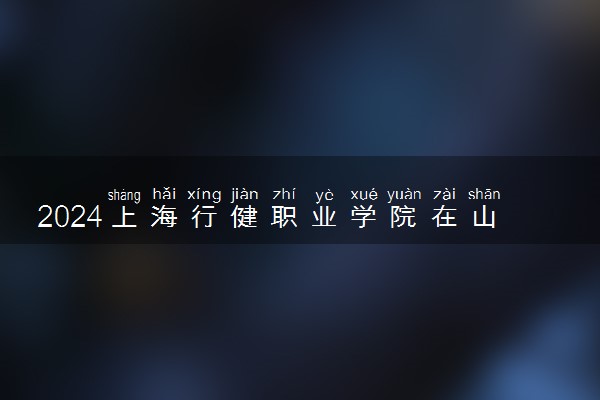 2024上海行健职业学院在山东录取分数线 各专业分数及位次