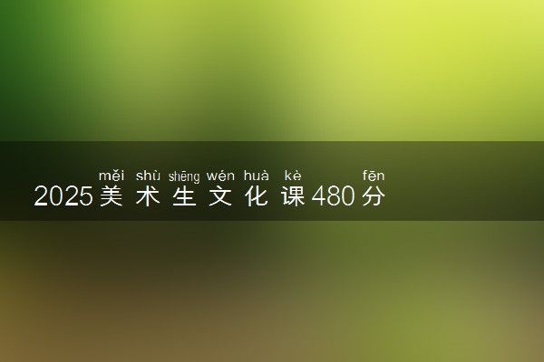 2025美术生文化课480分能上武汉纺织大学吗