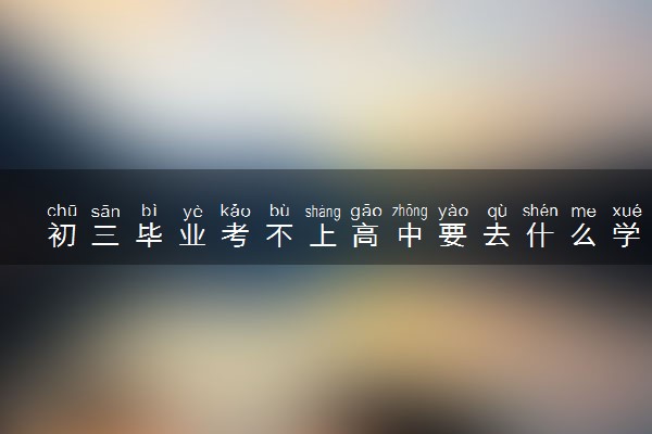 初三毕业考不上高中要去什么学校