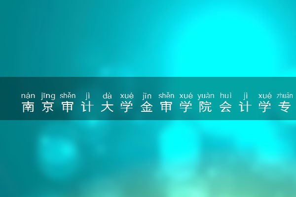 南京审计大学金审学院会计学专业怎么样 录取分数线多少