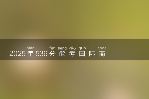 2025年536分能考国际商务专业吗 536分国际商务专业大学推荐