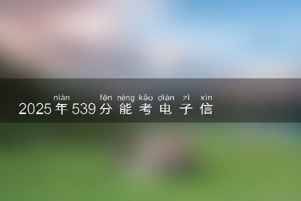 2025年539分能考电子信息类专业吗 539分电子信息类专业大学推荐
