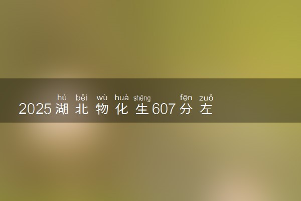2025湖北物化生607分左右能上什么大学 可以报考的院校名单