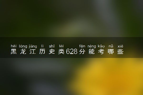 黑龙江历史类628分能考哪些大学 2025考生稳上的大学名单