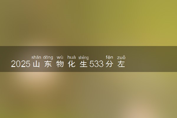 2025山东物化生533分左右能上什么大学 可以报考的院校名单