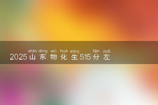 2025山东物化生515分左右能上什么大学 可以报考的院校名单