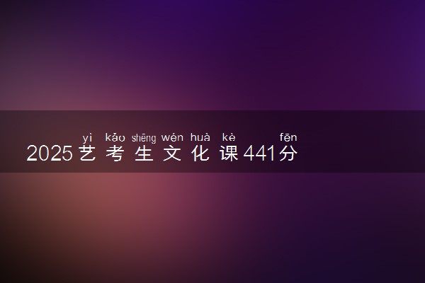 2025艺考生文化课441分能上云南经济管理学院吗
