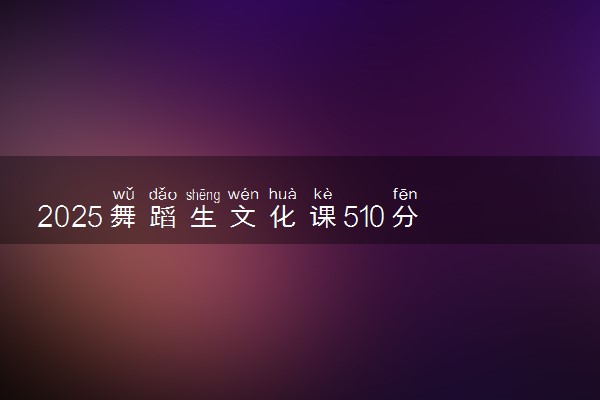 2025舞蹈生文化课510分能上北京印刷学院吗