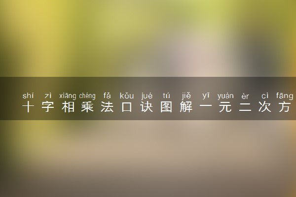 十字相乘法口诀图解一元二次方程 初中生必看