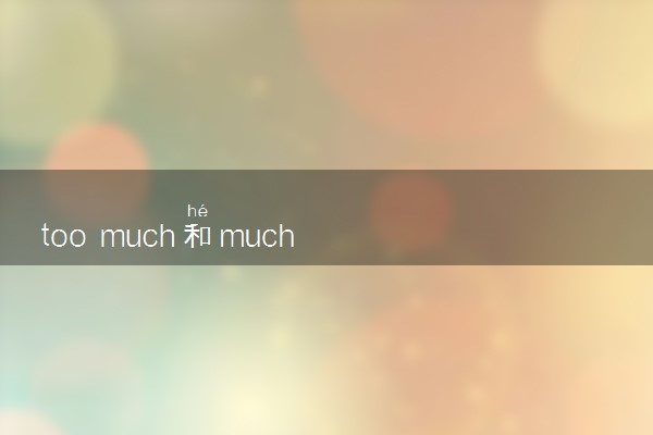 too much和much too的区别是什么