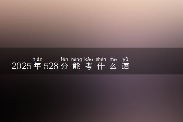 2025年528分能考什么语言类大学 哪些大学值得报