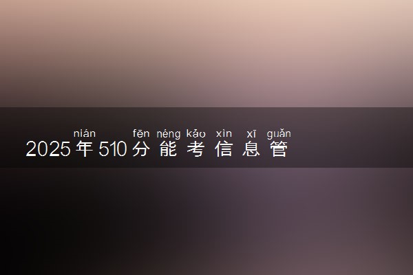 2025年510分能考信息管理与信息系统专业吗 510分信息管理与信息系统专业大学推荐