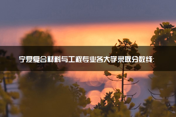 宁夏复合材料与工程专业各大学录取分数线：最低414分能上 开设院校及位次