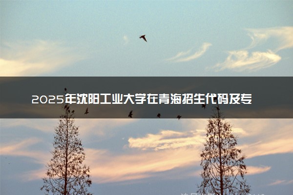 2025年沈阳工业大学在青海招生代码及专业代码 沈阳工业大学青海代码是多少？怎么查询？